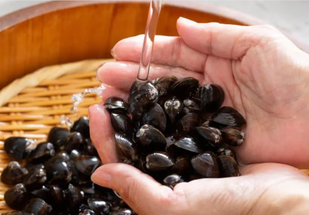 【箱入り】宍道湖の大和しじみ　ギフトセット　（期間限定小泉八雲・セツあたりクジ付きラッピング対象商品）