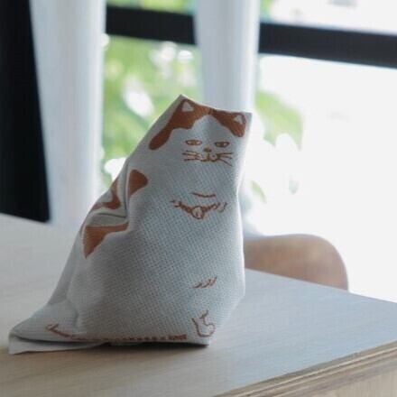 炭猫　チャコキャット