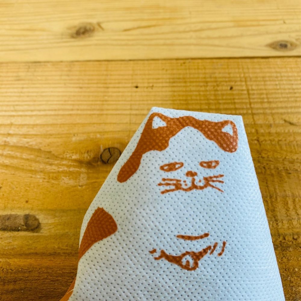 炭猫　チャコキャット