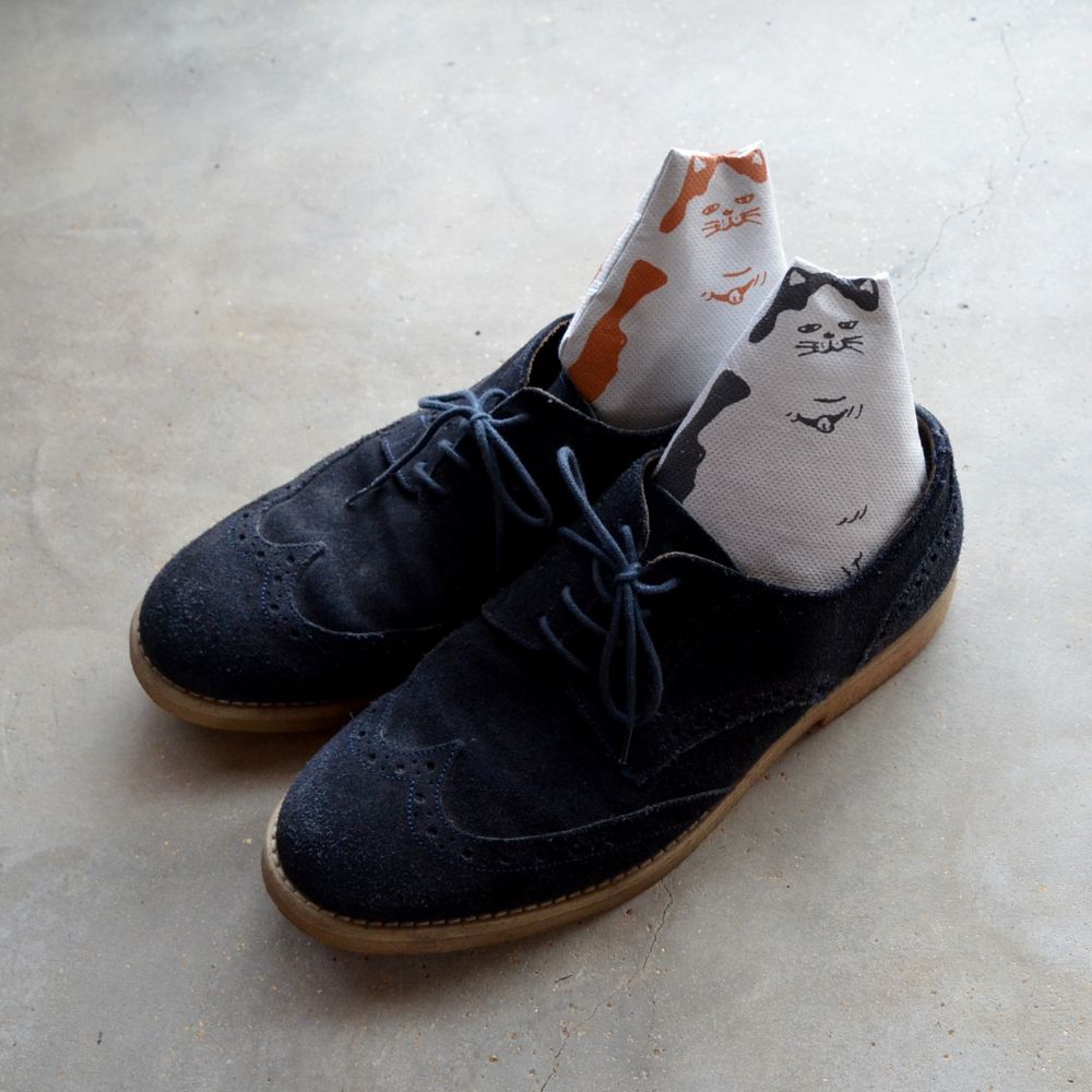 炭猫　チャコキャット