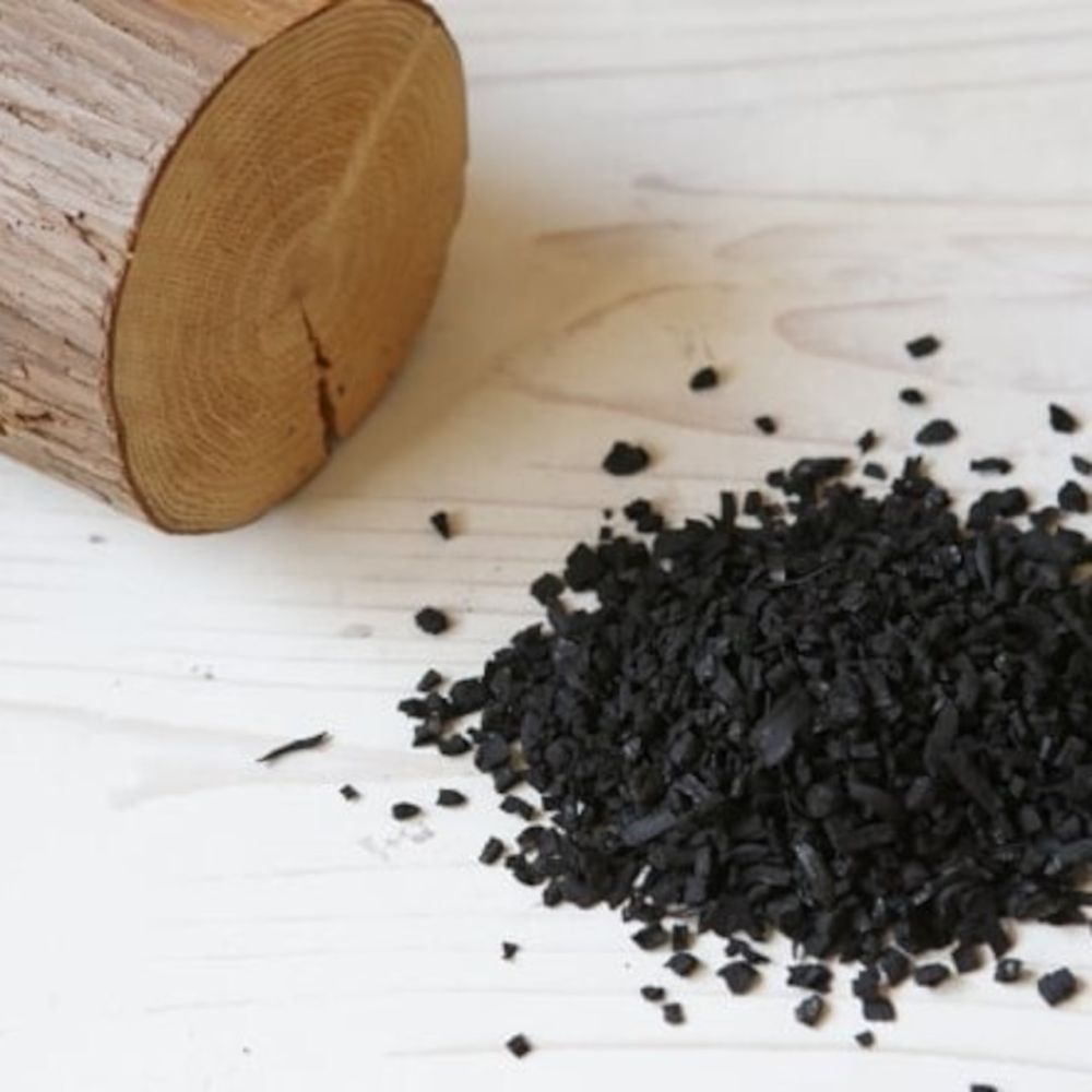 炭猫　チャコキャット