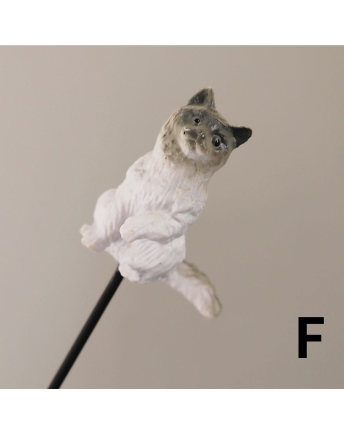 キャットピック 12種