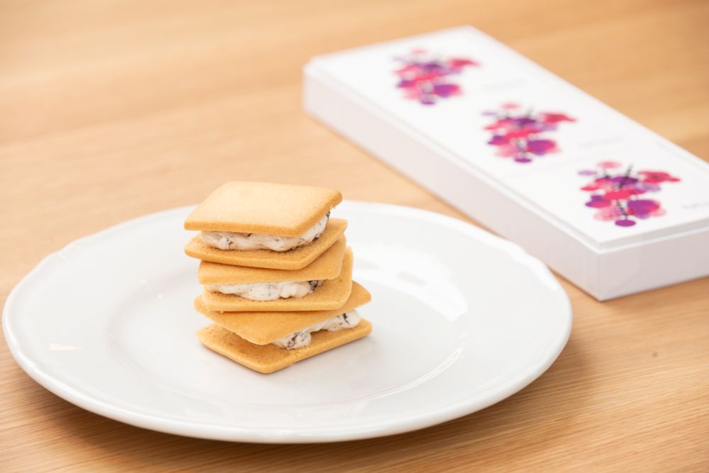 【箱付き】hatsune  3個入りギフトボックス