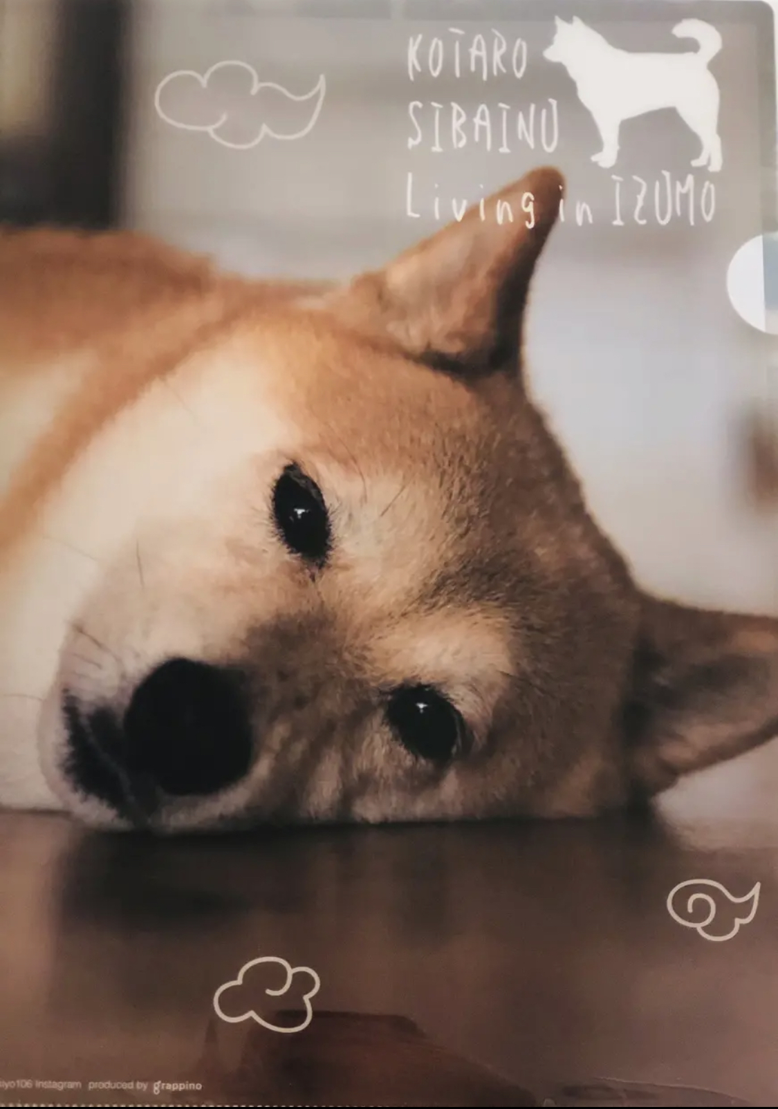 小太郎くん クリアファイル3種+ポストカード1種セット