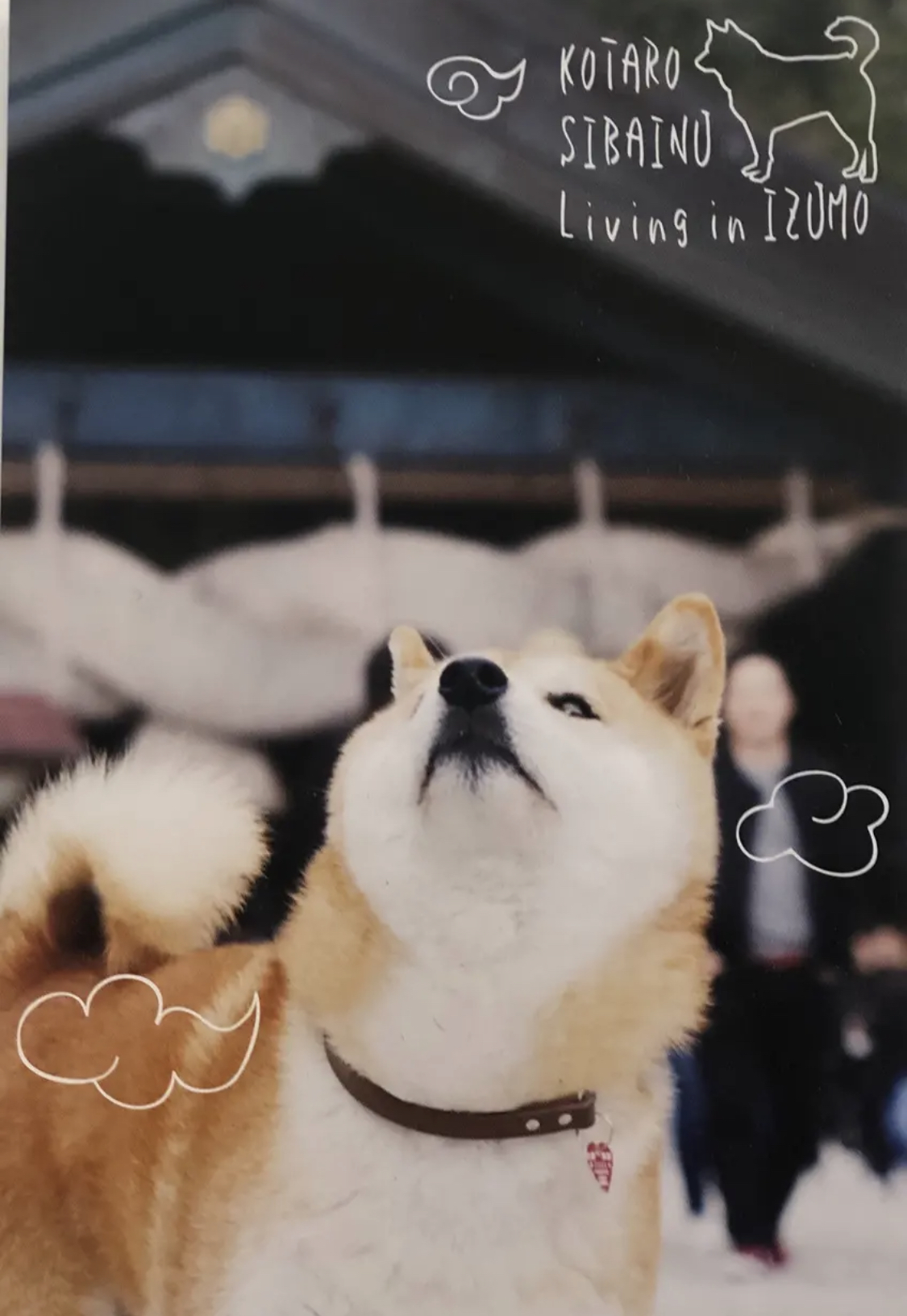 小太郎くん クリアファイル3種+ポストカード1種セット