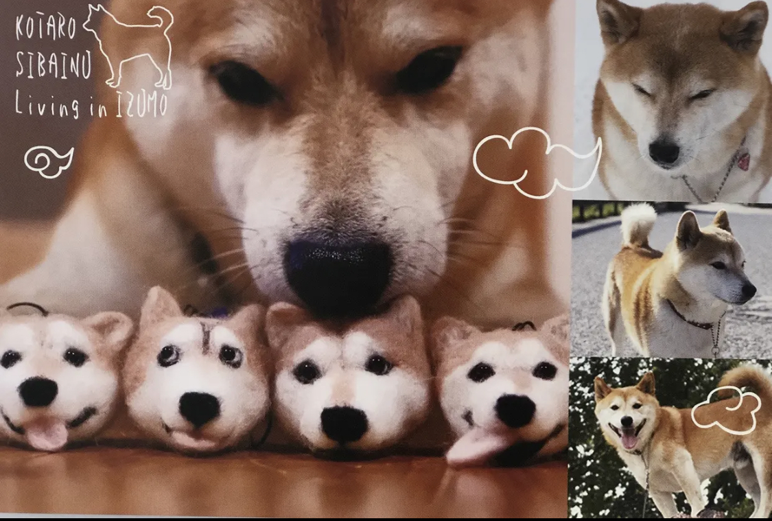 小太郎くん クリアファイル3種+ポストカード1種セット