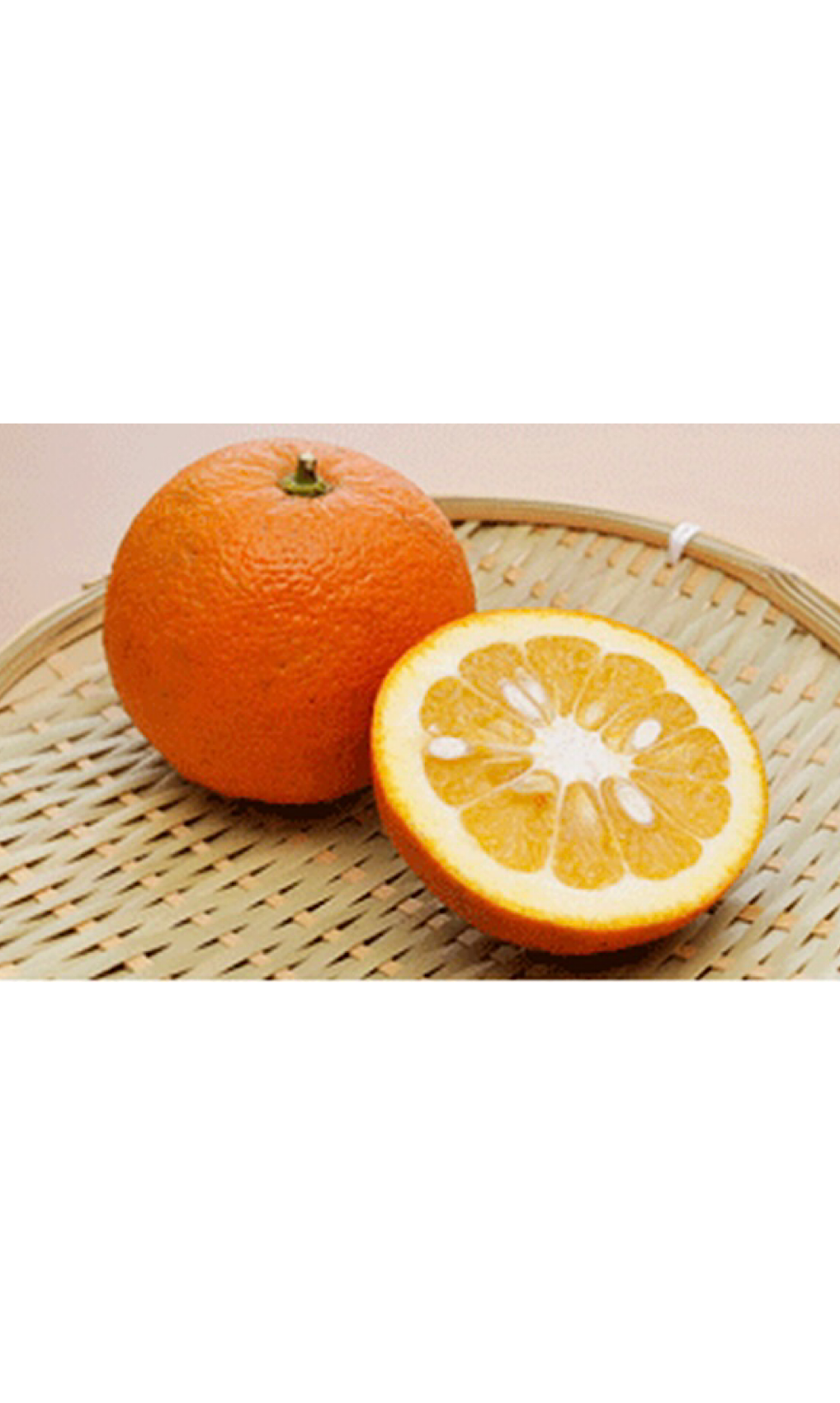 塩えごぽん 200ml