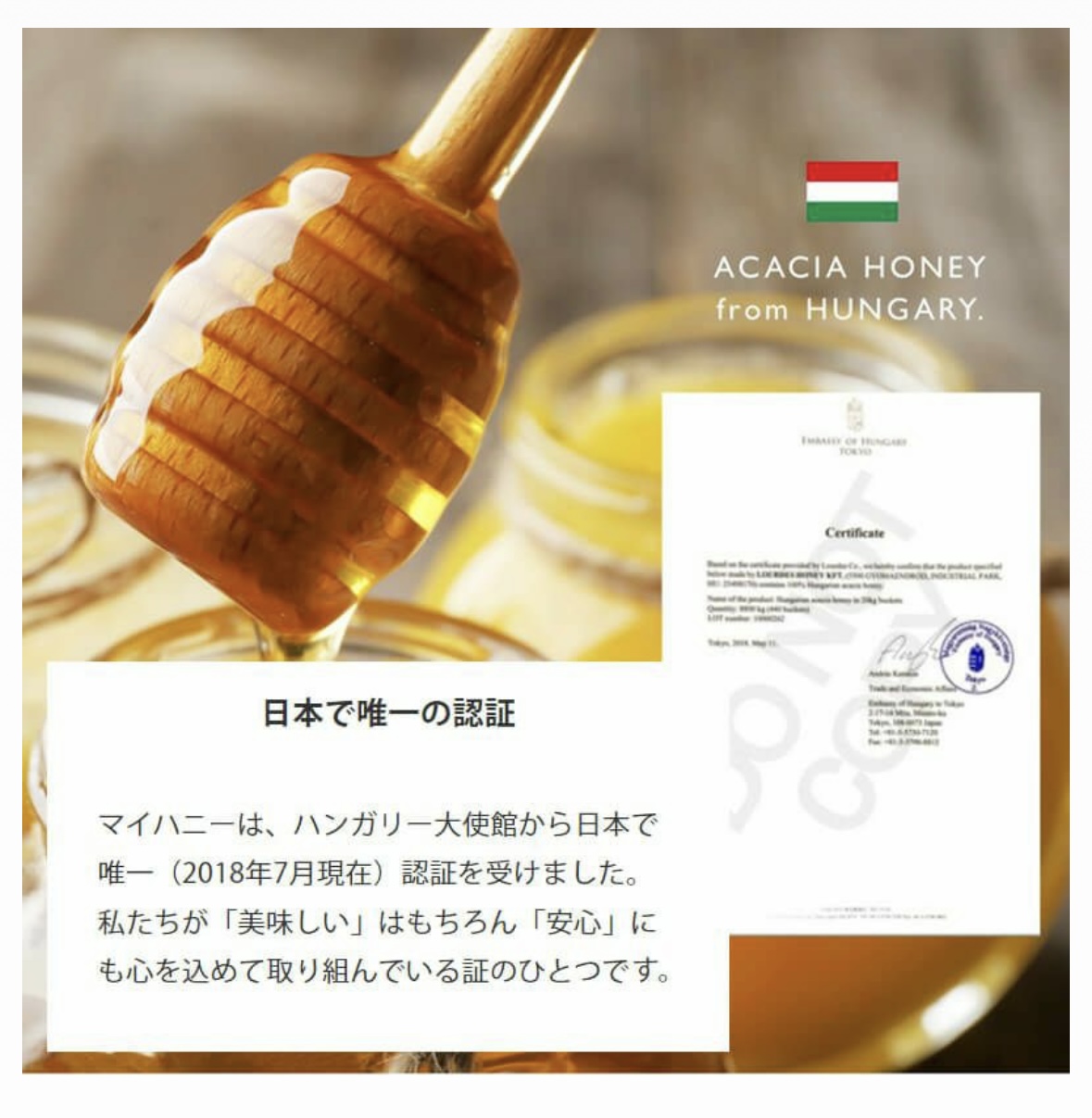 からだに優しいアカシアはちみつ　マイハニー