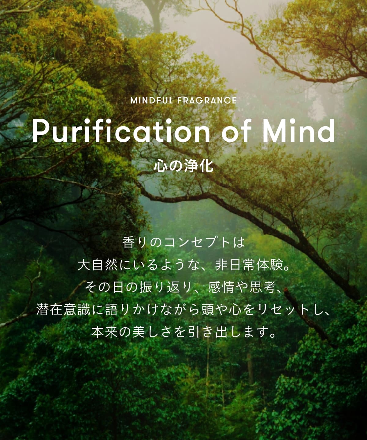 【箱付き】SINN PURETE　マインドフル フレグランス / Purification of Mind（心の浄化） MINDFUL FRAGRANCE / Purification of Mind