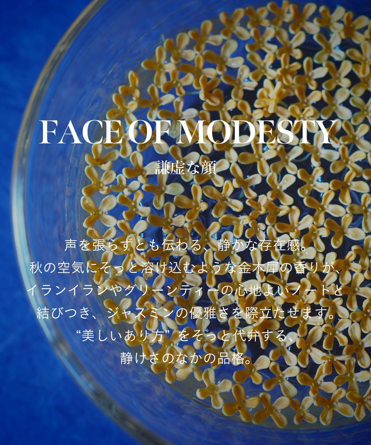 【箱付き】SINN PURETEヘア オイルミルク / FACE OF MODESTY（謙虚な顔） HAIR OIL MILK / FACE OF MODESTY