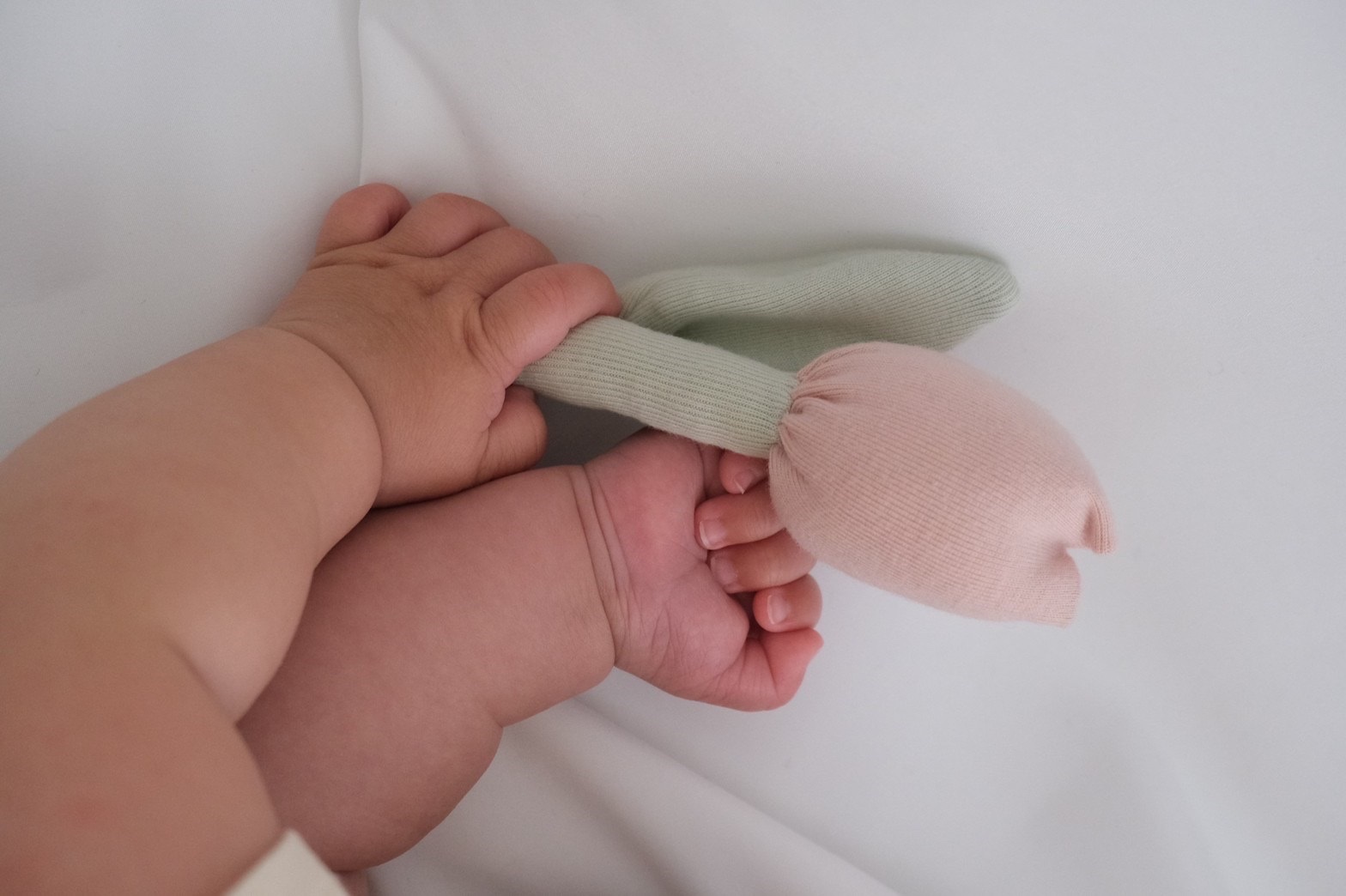 お花のラトル　チューリップ/ガーベラ