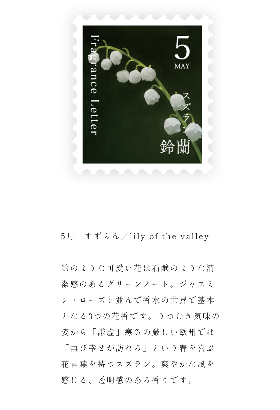 Fragrance　Letter　ディフューザー