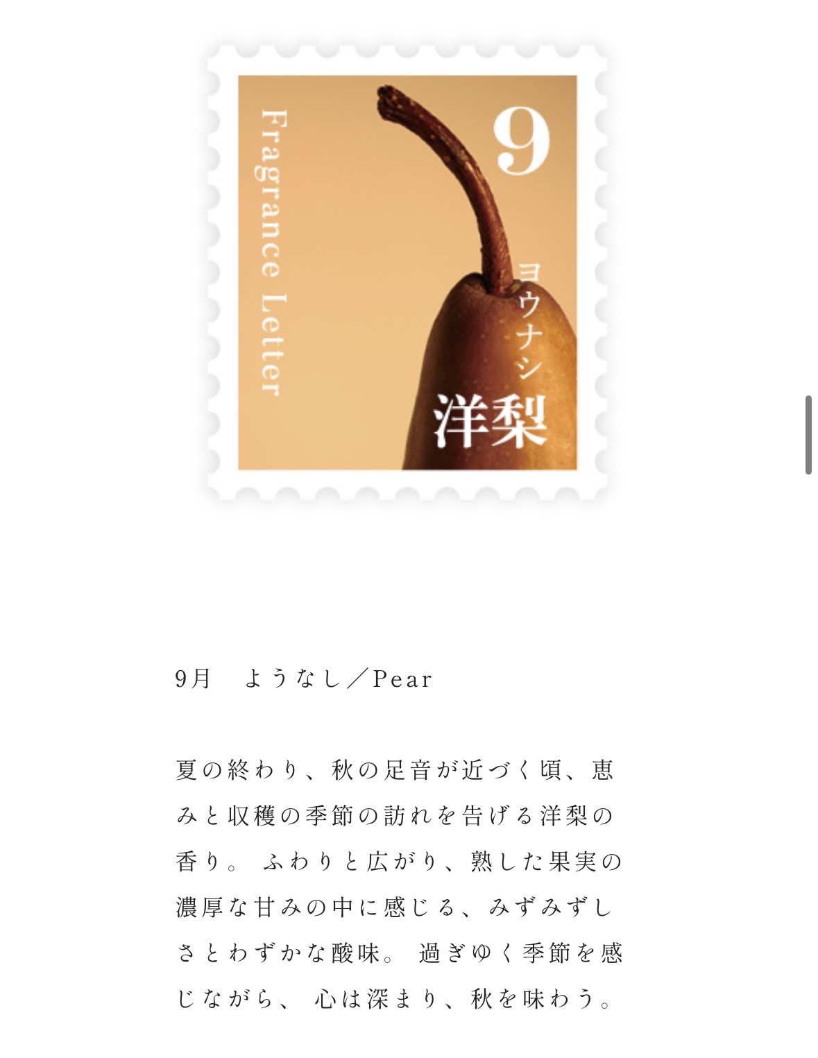 Fragrance　Letter　ディフューザー